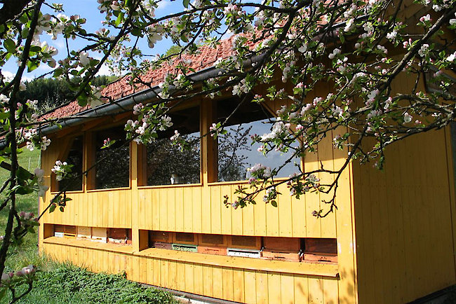 Bienenschauhaus auf dem Kräuterhof in Ringelai
